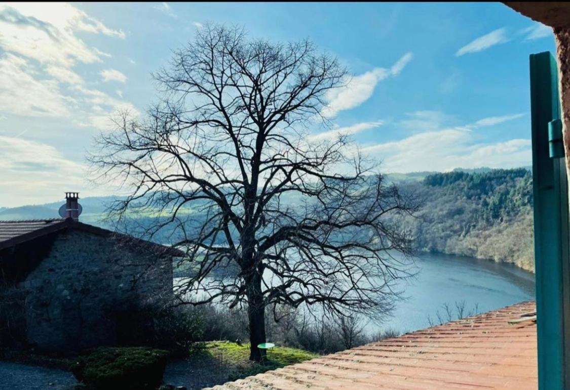 O Fil De L'Eau - Gite En Bord De Lac Saint-Jean-Saint-Maurice-sur-Loire 외부 사진